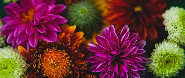 坚持不懈的 坚持不懈的