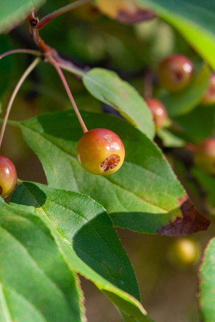 道路上又迈 道路上又迈