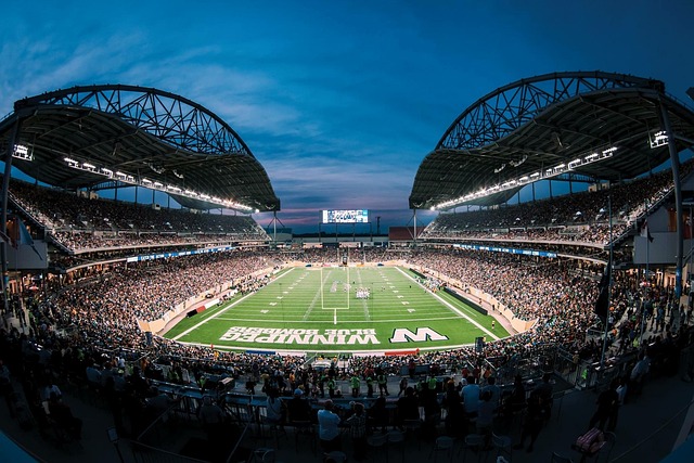 在次回合中 在次回合中