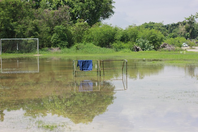 正是近期法 正是近期法