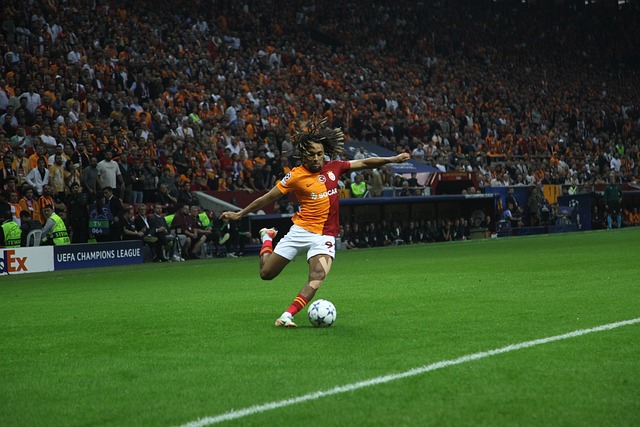 利用高度集 利用高度集